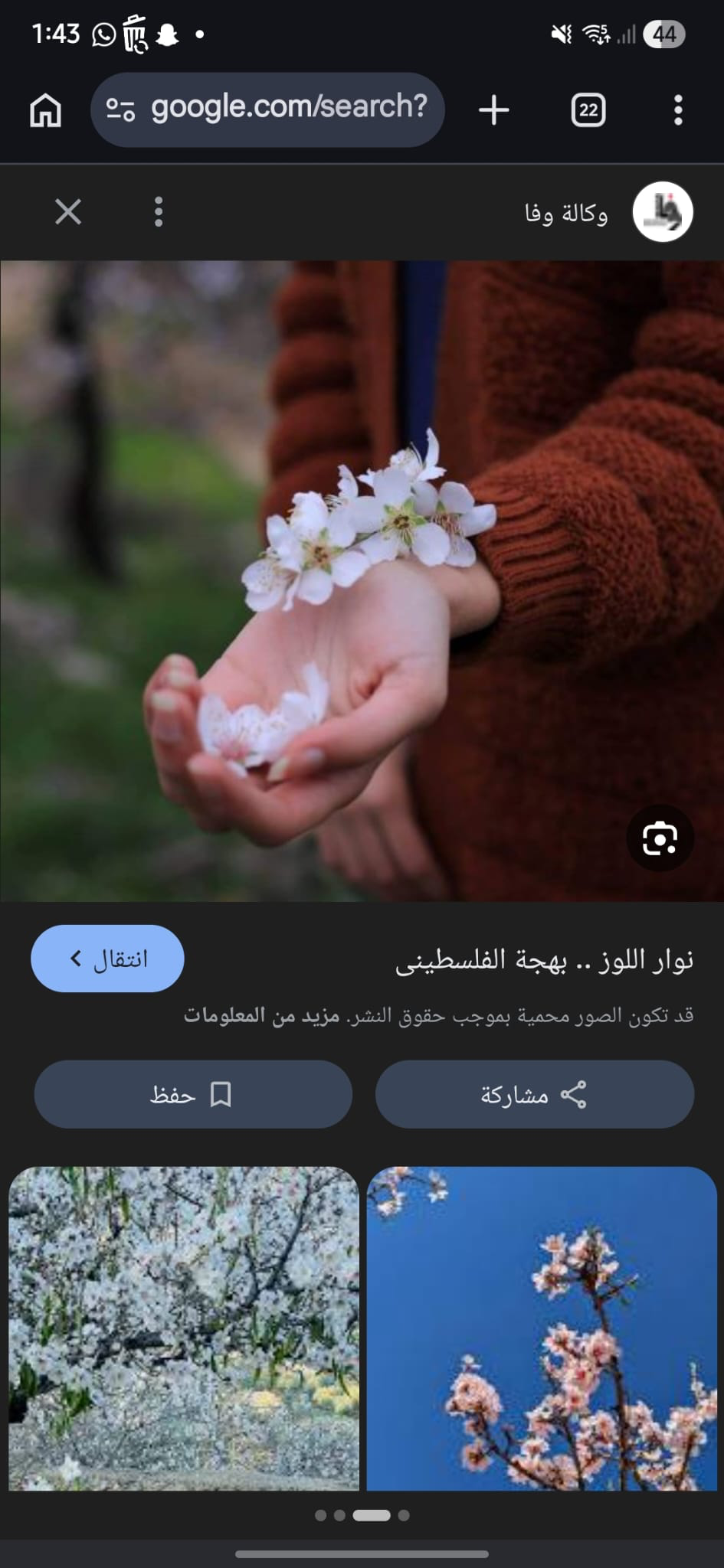 زهر اللوز الفلسطيني - رمز مي أحمد